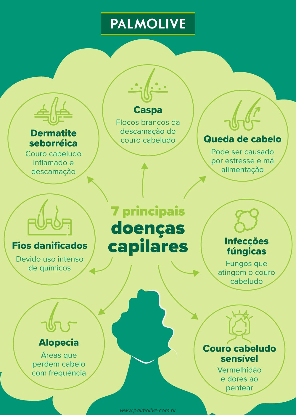 Infográfico sobre doenças capilares