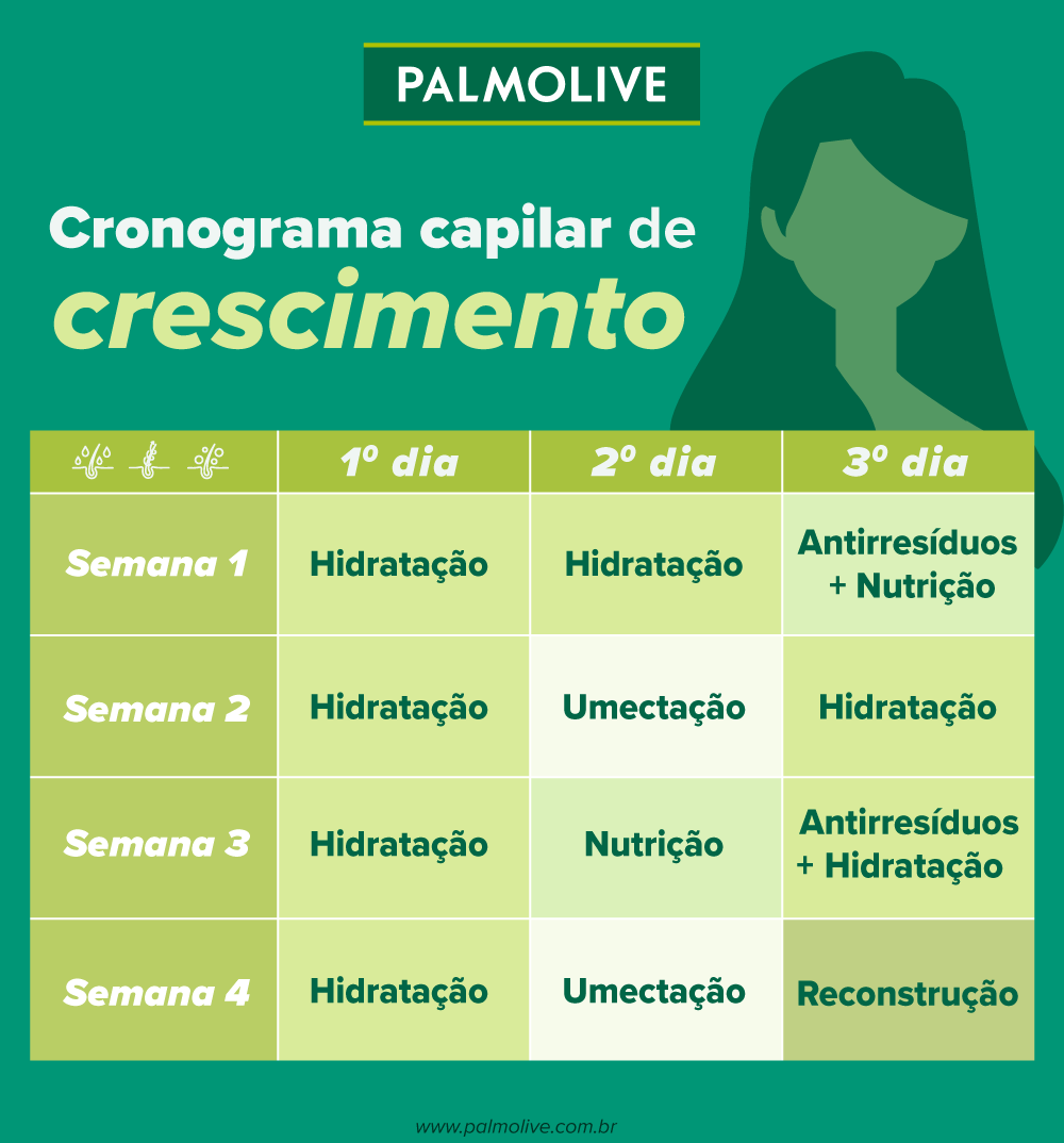 Infográfico sobre cronograma capilar de crescimento